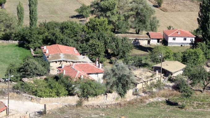 uploaded-image-alasehirde-koy-pazarlari-1698136584285